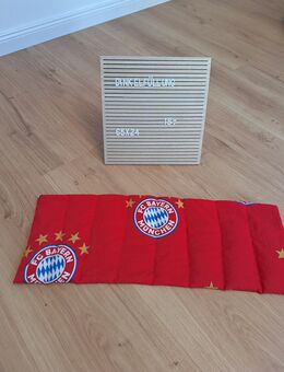 Dinkelkissen, Körnerkissen, Wärmekissen, Bayern München, Pokemon, Anna Elsa, handmade - Helmstedt