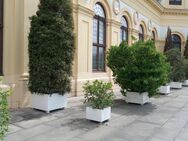 suche neue Arbeitsstelle - Göttingen