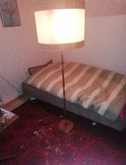 Alte Stehlampe, 163 cm hoch, - Mülheim (Ruhr)