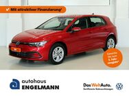 VW Golf, 1.5 Life VIII eTSI, Jahr 2021 - Magdeburg