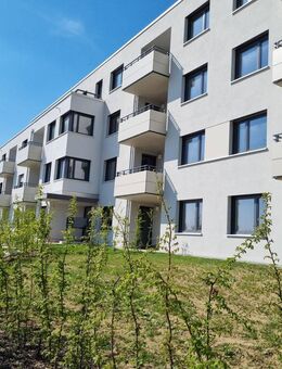 NEU: offene Besichtigung Musterwohnung - jeden Mittwoch und Sonntag von 16-18 Uhr - Günzburg