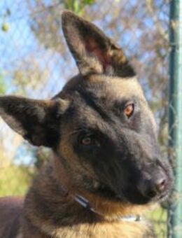 Sabina - Neubrunn (Bayern)