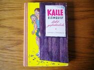 Kalle Blomquist lebt gefährlich,Astrid Lindgren,Oetinger Verlag,1967 - Linnich