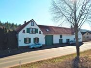 Zweifamilienhaus mit Pferdehof - Ramsen