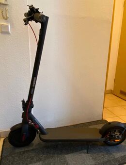 Xiaomi e-Scooter 4, top Zustand, wenig gefahre - Solingen (Klingenstadt)