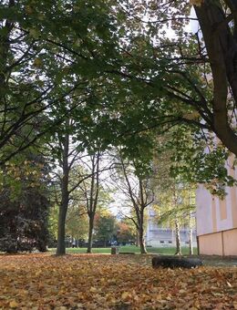 ** Erstbezug ** ruhiges Wohnen mit Weitblick - Chemnitz