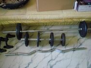 100KG Gewichte 2x Kurzhantel, Langhantel, SZ Stange, Gußeisen 30mm - Leipzig