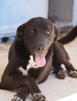 Franklin, Notfall in Deutschland - Bad Vilbel