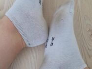 Getragene Socken Größe 38 - Bielefeld