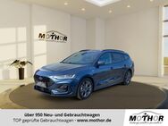 Ford Focus, 1.0 ST-Line EcoBoost, Jahr 2024 - Gardelegen (Hansestadt)