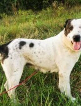 Deenah sucht Liebe - München