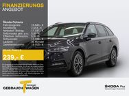 Skoda Octavia, 2.0 TDI Combi CLEVER LM17, Jahr 2021 - Bochum