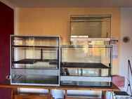 Glasterrarium für Kleintiere - Elze