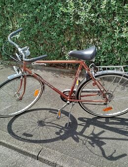 Fahrrad von Steiger - Bad Homburg (Höhe)