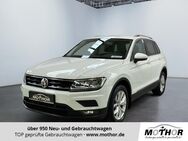 VW Tiguan, 2.0 TSI Comfortline, Jahr 2019 - Brandenburg (Havel)