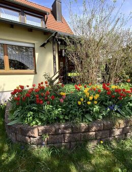 Klein und fein - Ingolstadt