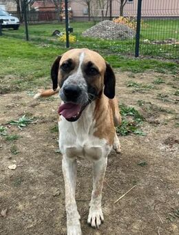 Großes Herz- Kiara - Ellerbek