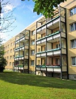 3- Raum mit BALKON, hell und gemütlich im GRÜNEN - Thale