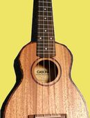 Ukulele, spielen, lernen, Unterricht, Lehrer, in 07743