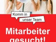 Suche Unterstützung bei Arbeiten im Internet - Fotobearbeitung, Texte erstellen, Sedcards - Hannover Mitte