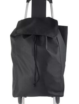 Einkaufstrolley mit 2 Rollen inkl. Schirmhalter, Standfuß - Landau (Pfalz)