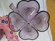 Glas-Schale in Kleeblattform (Auberginefarben) mit 4 Fächern für Knabbereien - Weichs
