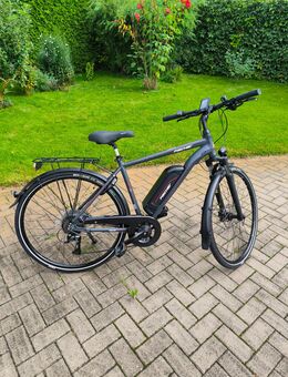 Fischer E-Bike Viator 2.0 - Birkenwerder