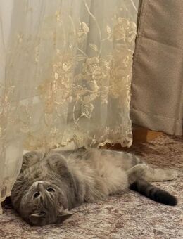 Hübsche Mädchen - Berlin Mitte