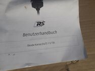 Race-Chip - Roschbach