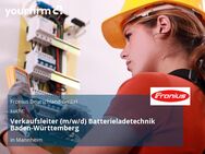 Verkaufsleiter (m/w/d) Batterieladetechnik Baden-Württemberg - Mannheim