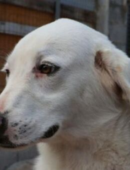 MORGAN - absolute Menschenfreundlichkeit - Regensburg