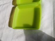 Tupperware Sandwichbox, hellgrün, gebraucht, Artikel 3752B-1 - Langwedel (Niedersachsen)