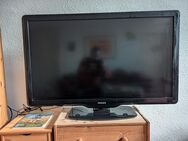 TV Philips 47 Zoll - Berlin