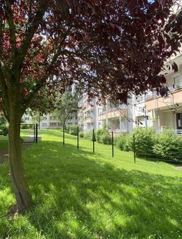 Ihre solide Kapitalanlage in Essen-Holsterhausen - Essen