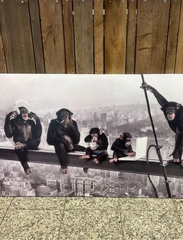 ~ Bild Wandbild Affen auf Stahlträger H70xL118cm. - Überlingen Zentrum