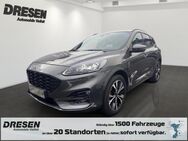 Ford Kuga, 2.5 ST-LineX 225PS, Jahr 2021 - Bonn