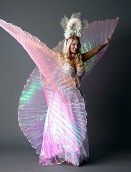 Tänzerin/ Burlesque Show/ Showtanz/ orientalische Show - Hanau (Brüder-Grimm-Stadt)