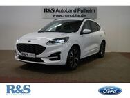 Ford Kuga, ST-Line Front, Jahr 2023 - Pulheim