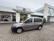 VW Caddy, 2.0 TDI 90kW, Jahr 2023 - Pasewalk