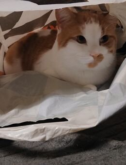 Zu verkaufen - Herne