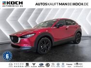 Mazda CX-30, 150 6AT HOMURA RKAM top, Jahr 2024 - Königs Wusterhausen Zentrum