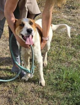 Lieber FRIX : BITTE nimm mich mit♥️ - München