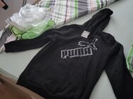 Puma Sweatshirt für Herren größe l - Herne