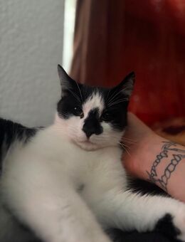 EKH mix - Neubrandenburg Zentrum