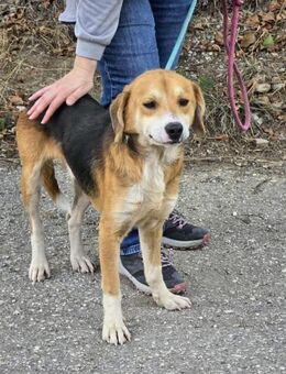 Gib SEHR sozialen LUKA die Chance auf ♥️ - München