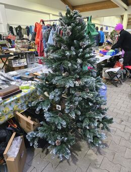 Weihnachtsbäume - Baunatal