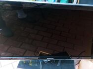 Samsung D 5000 TV 80 cm - Feldkirchen-Westerham