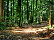 Der Wald ist Ihr Nachbar, und das in innenstadtnaher Lage von Münster-Gremmendorf auf einem herrlich ruhigen, 1080 m² großen Südwest-Grundstück !! - Münster