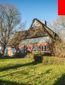 Reetdachanwesen am Elbdeich in fast Alleinlage - Wewelsfleth