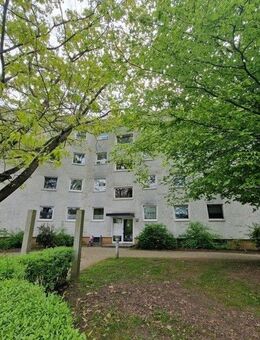 Frisch saniert: Willkommen im neuen Zuhause! - Braunschweig